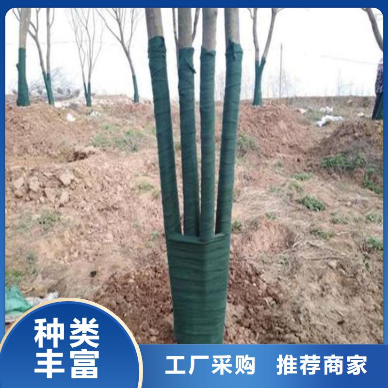 裹树布-双向塑料土工格栅追求细节品质