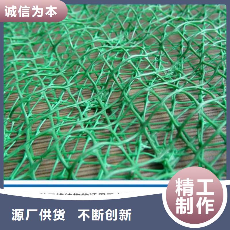 三维植被网_土工膜优选原材