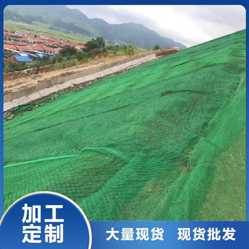 三维植被网紫铜止水片源头厂商