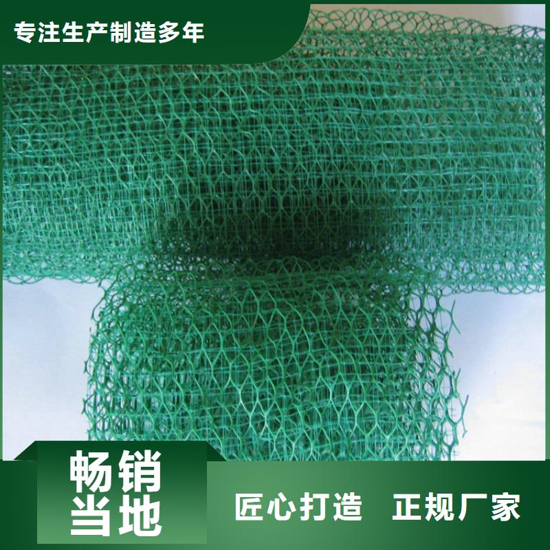 三维植被网铜止水生产厂家细节之处更加用心