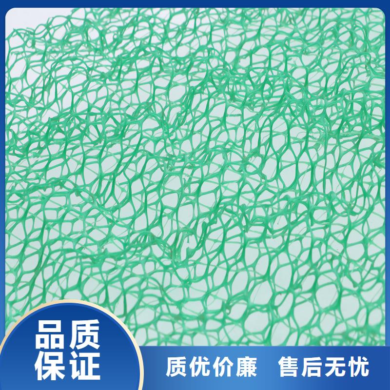 三维植被网聚丙烯单丝纤维用好材做好产品