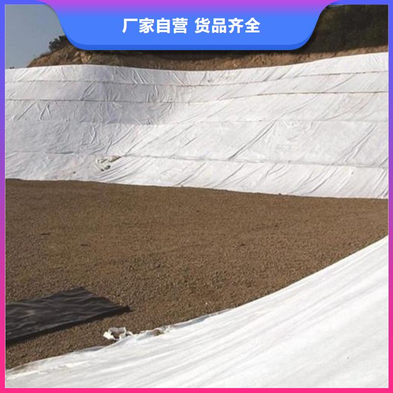 【土工布】_止水铜片一站式供应