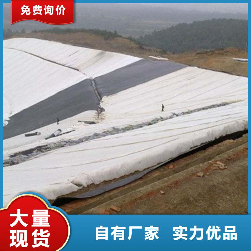 15KN土工布价格多少钱一平购买价格