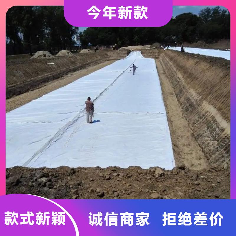 15KN土工布价格多少钱一平全国发货价格