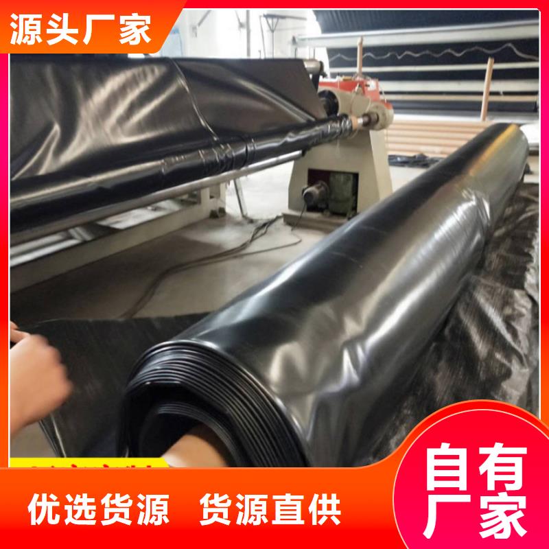 土工膜-膨润土防水毯定制定做