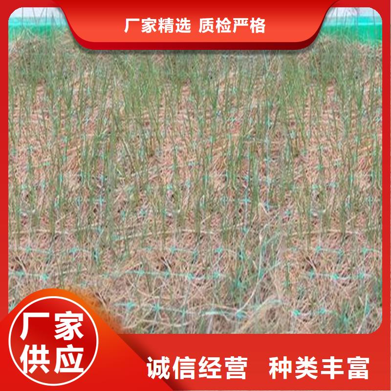 椰丝毯土工布从厂家买售后有保障