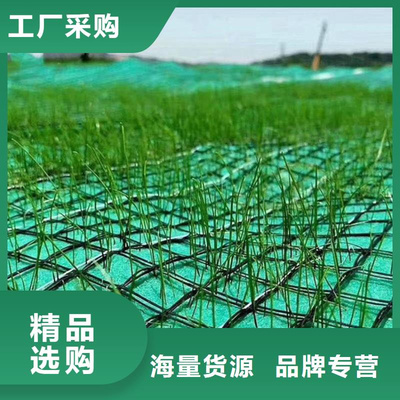 椰丝毯塑料盲沟支持非标定制