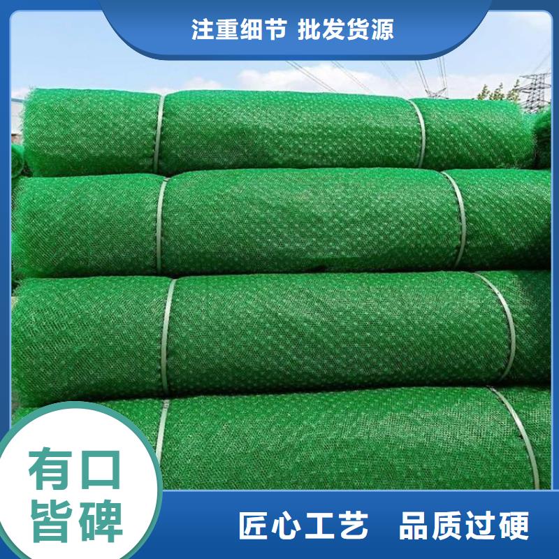 三维植被网土工格栅品牌专营
