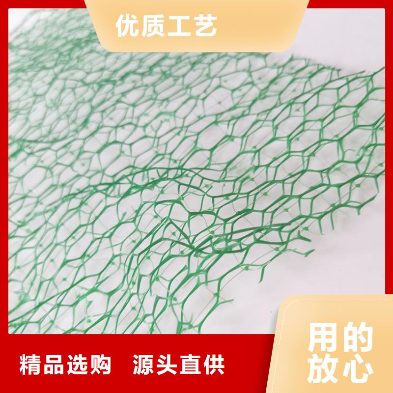 三维植被网钢塑土工格栅源头工厂量大优惠