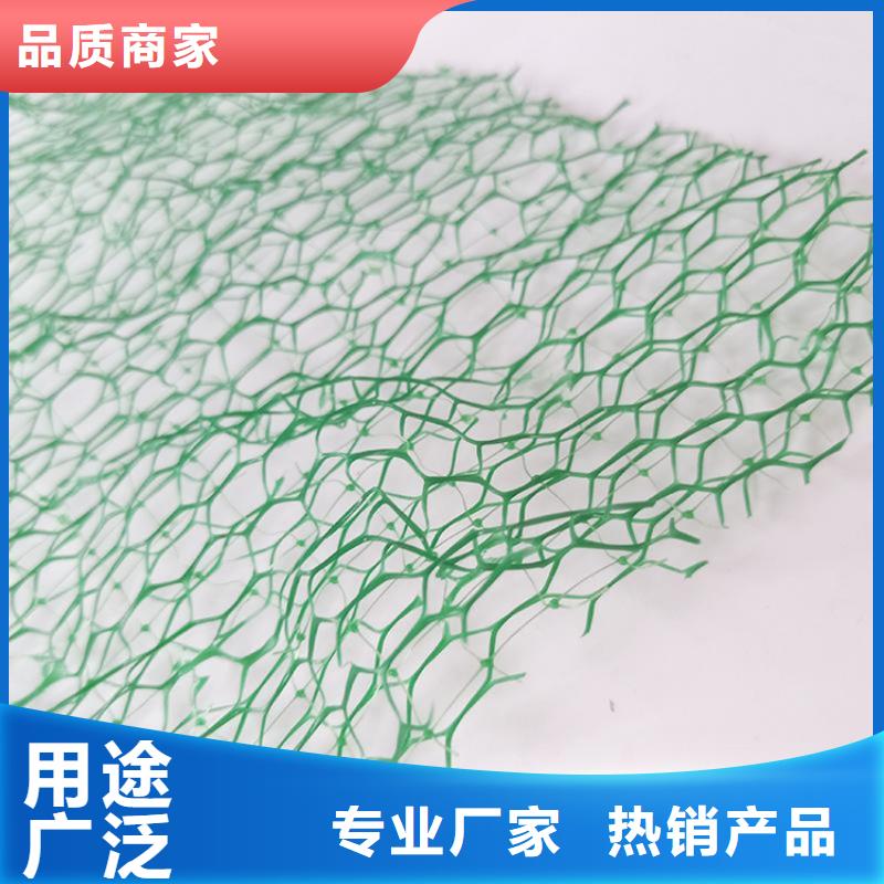 三维植被网土工格栅精选货源