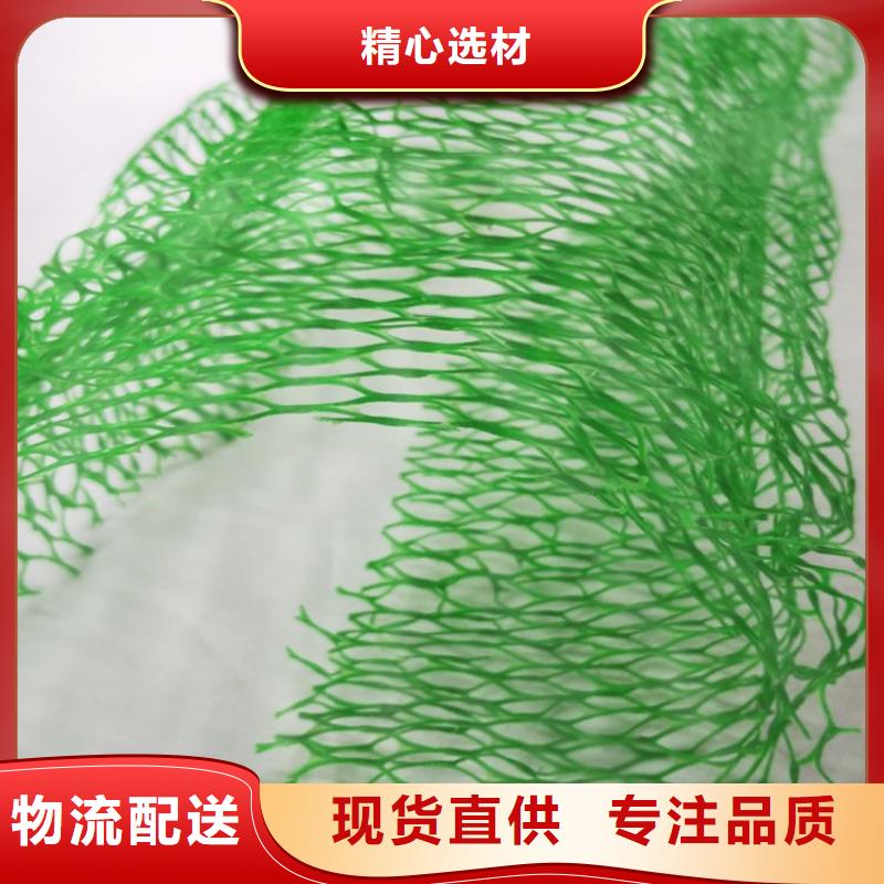 三维植被网玻纤格栅厂家直销省心省钱
