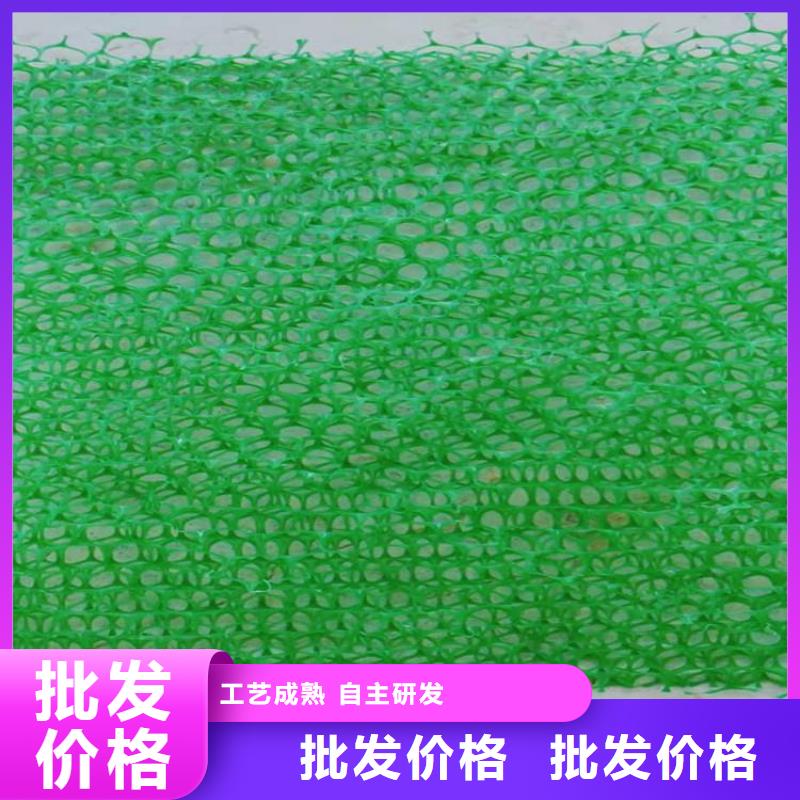 三维植被网土工格栅精选货源