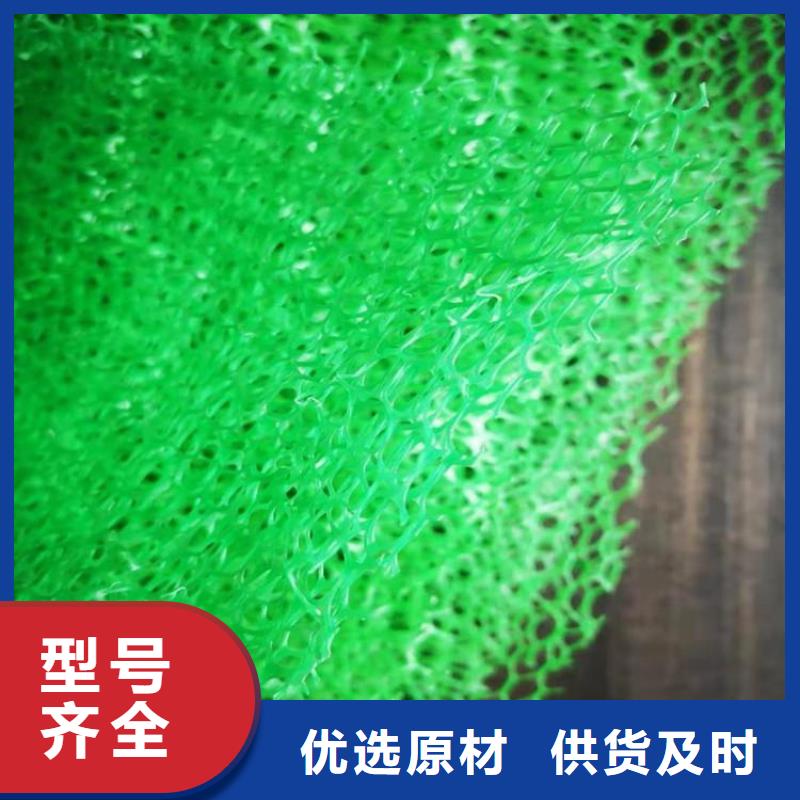 三维植被网玻纤格栅厂家直销省心省钱