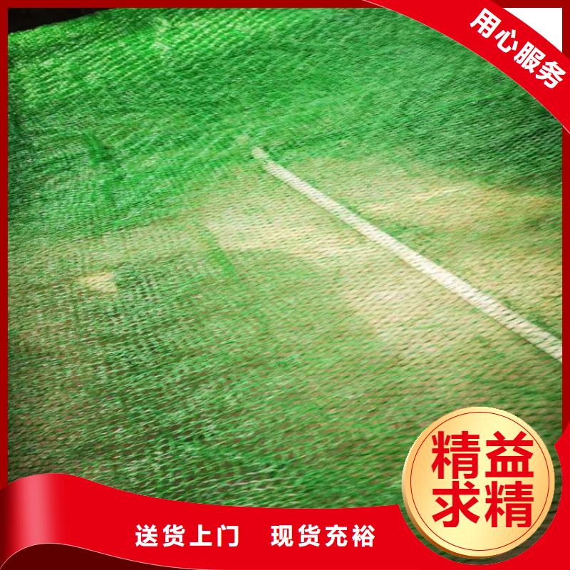 三维植被网玻纤格栅厂家直销省心省钱