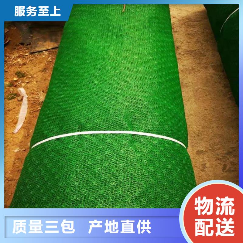 三维植被网土工格栅精选货源