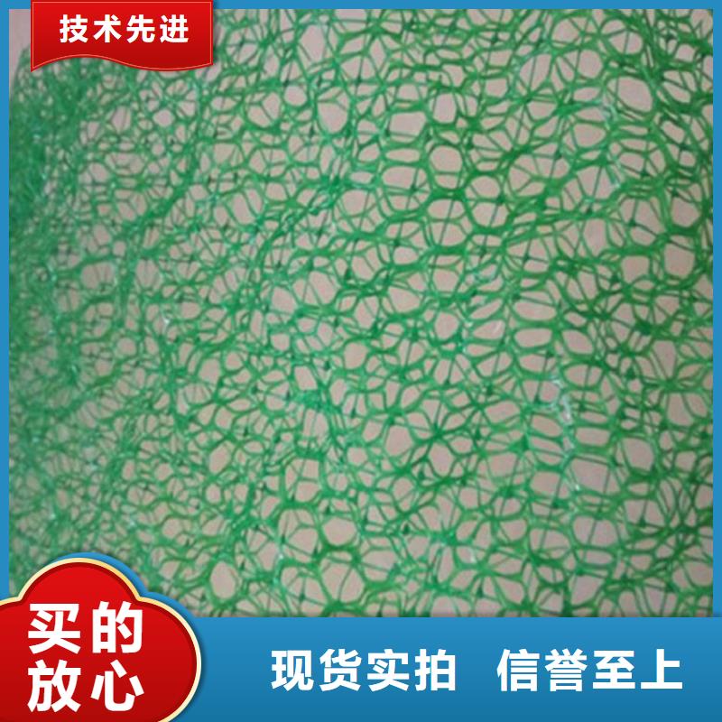 三维植被网玻纤格栅厂家直销省心省钱