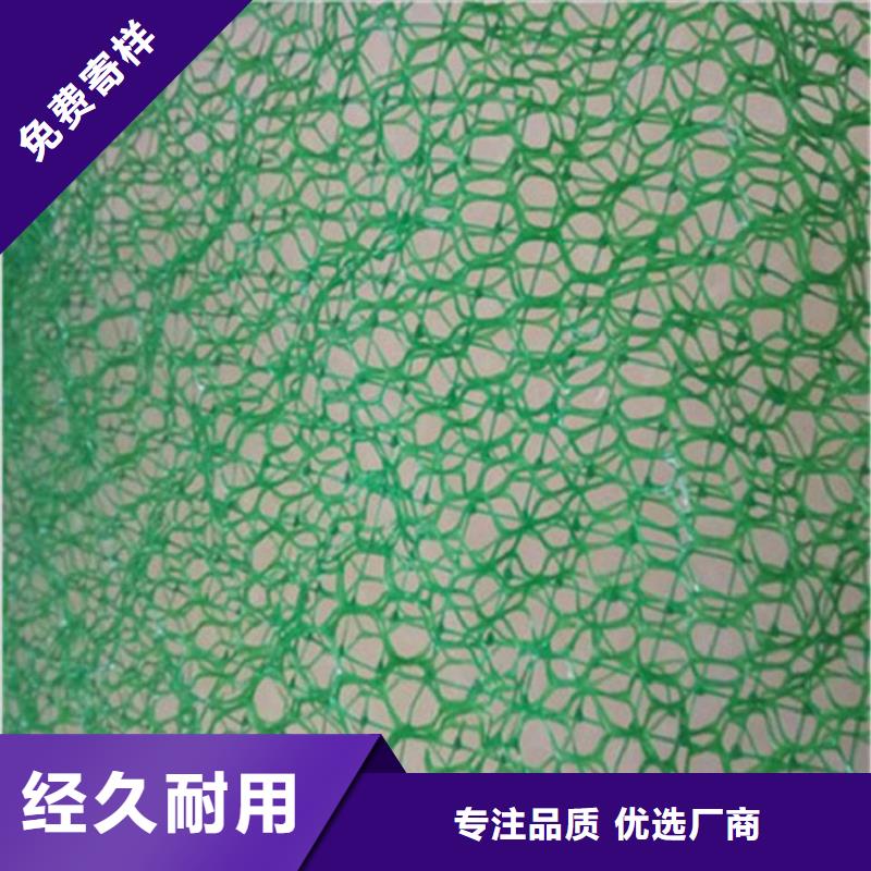 三维植被网钢塑土工格栅源头工厂量大优惠