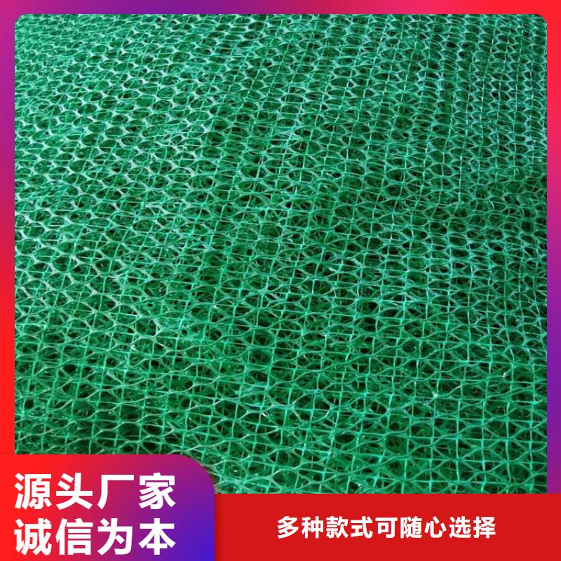 三维植被网土工格栅精选货源