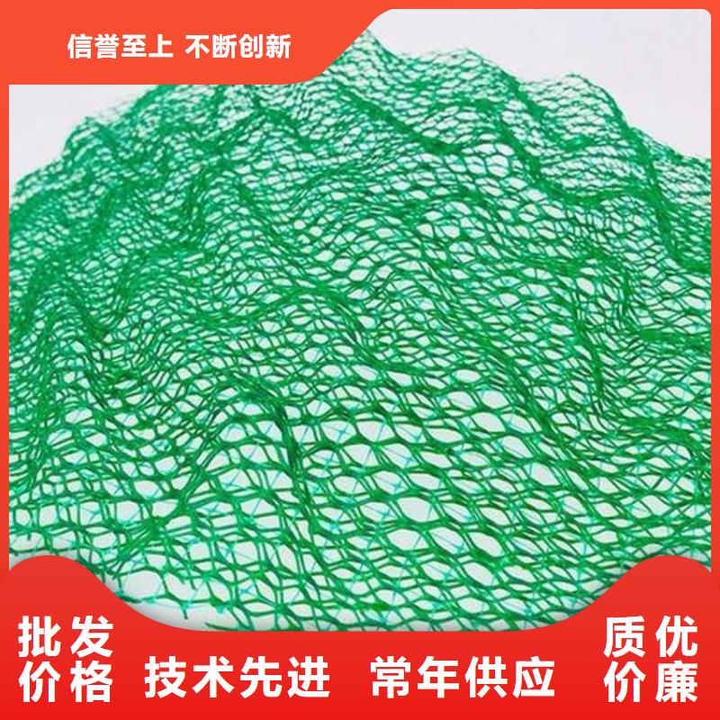 【三维植被网】-通风降噪丝网厂家直销大量现货