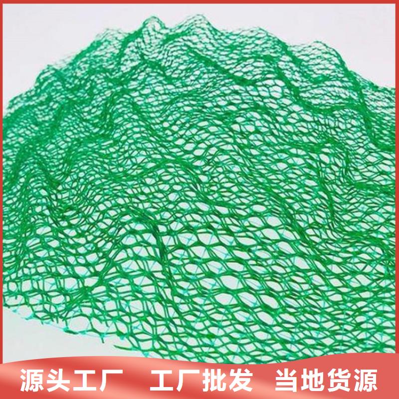 三维植被网钢塑土工格栅源头工厂量大优惠