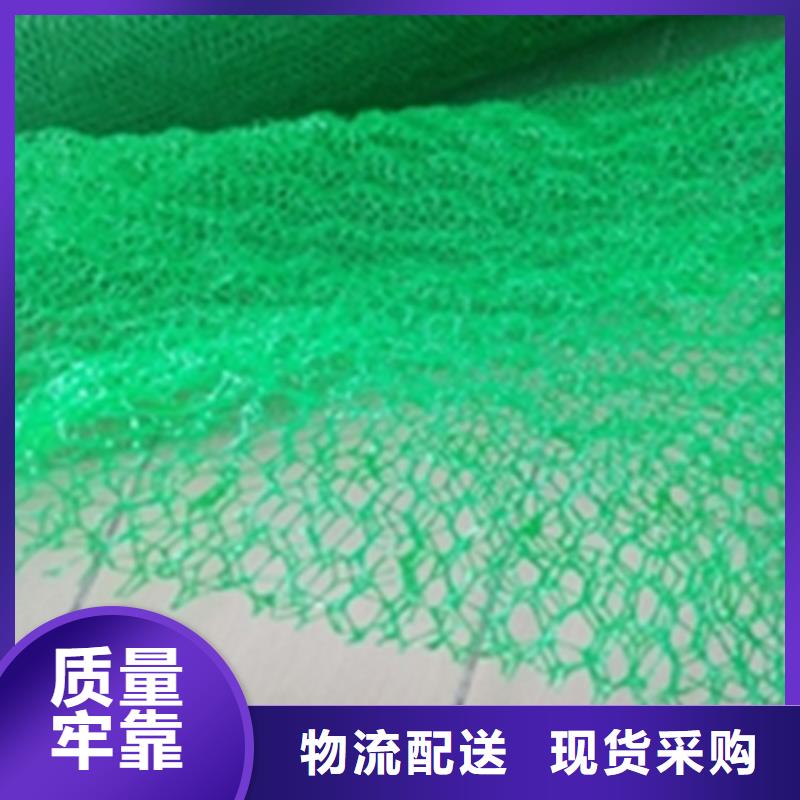 三维植被网土工格栅品牌专营