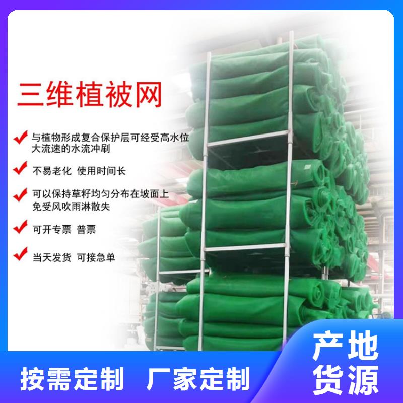 三维植被网土工格栅品牌专营