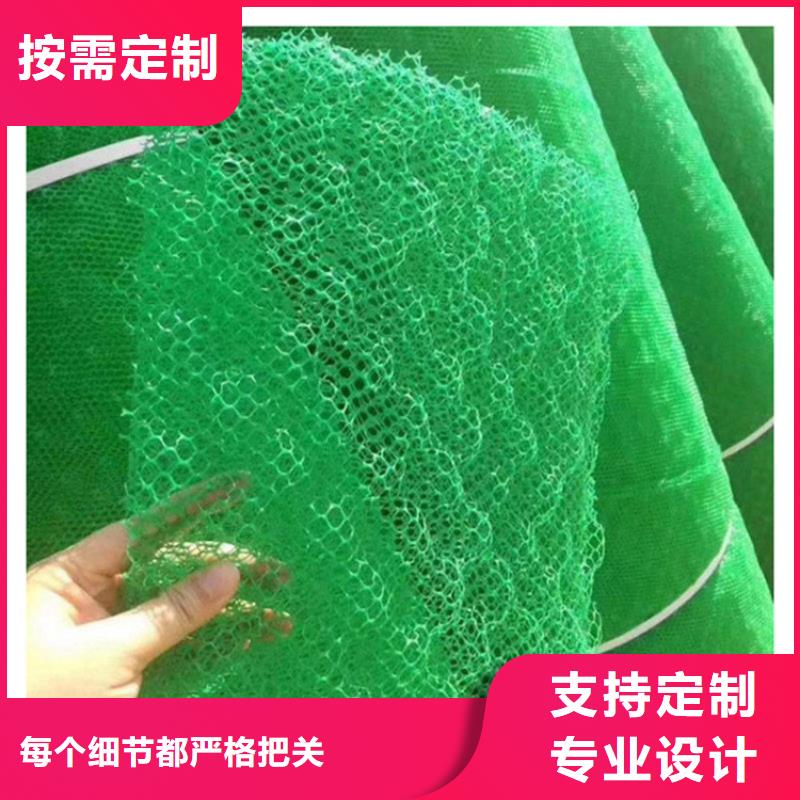 三维植被网玻纤格栅厂家直销省心省钱