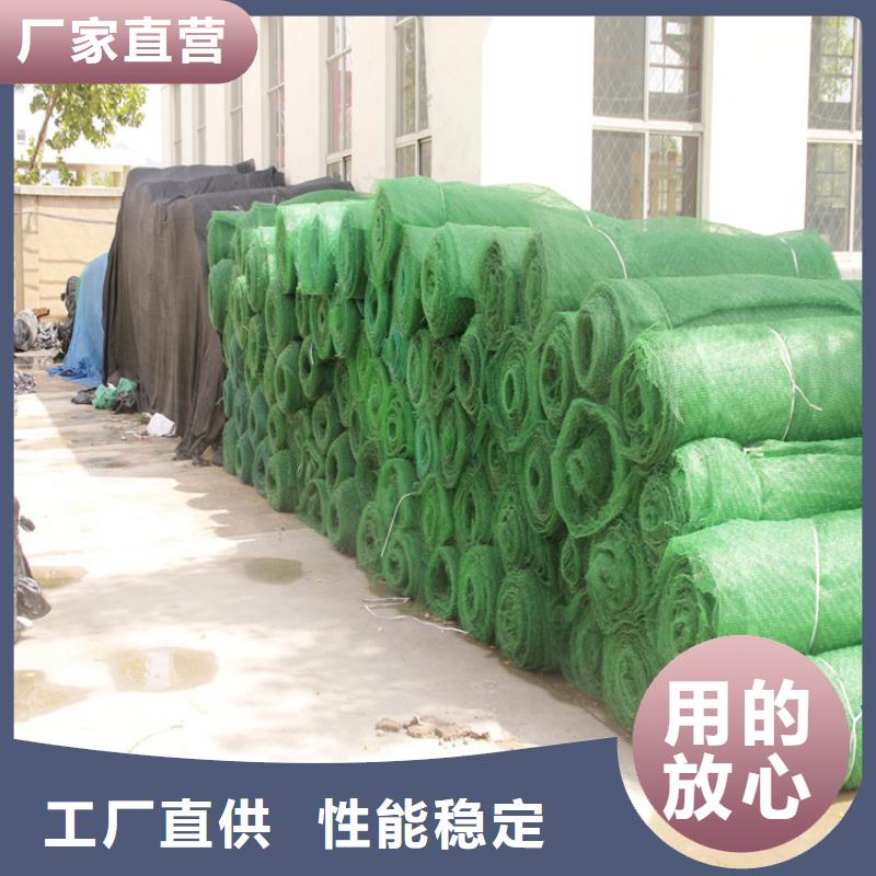 三维植被网玻纤格栅厂家直销省心省钱