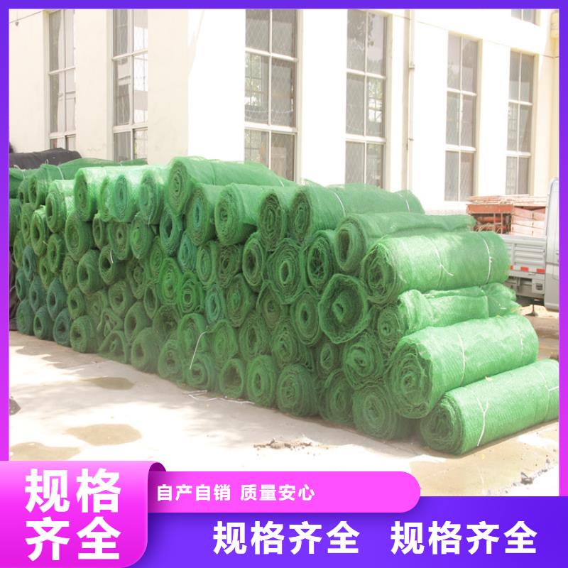三维植被网玻纤格栅厂家直销省心省钱