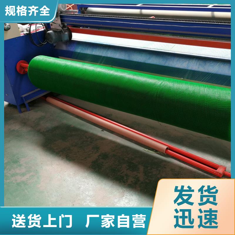 三维植被网玻纤格栅厂家直销省心省钱