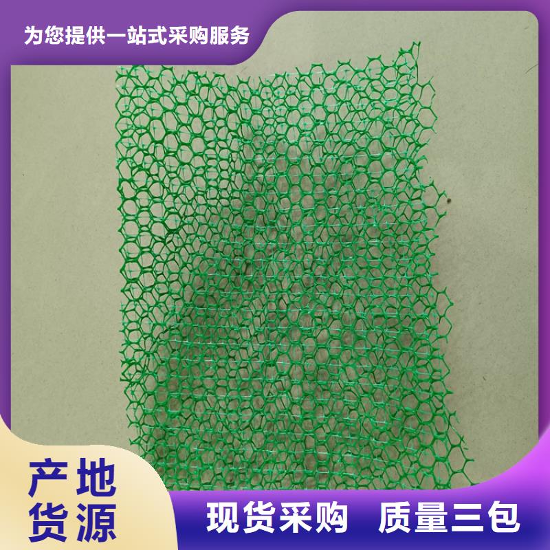 三维植被网玻纤格栅厂家直销省心省钱