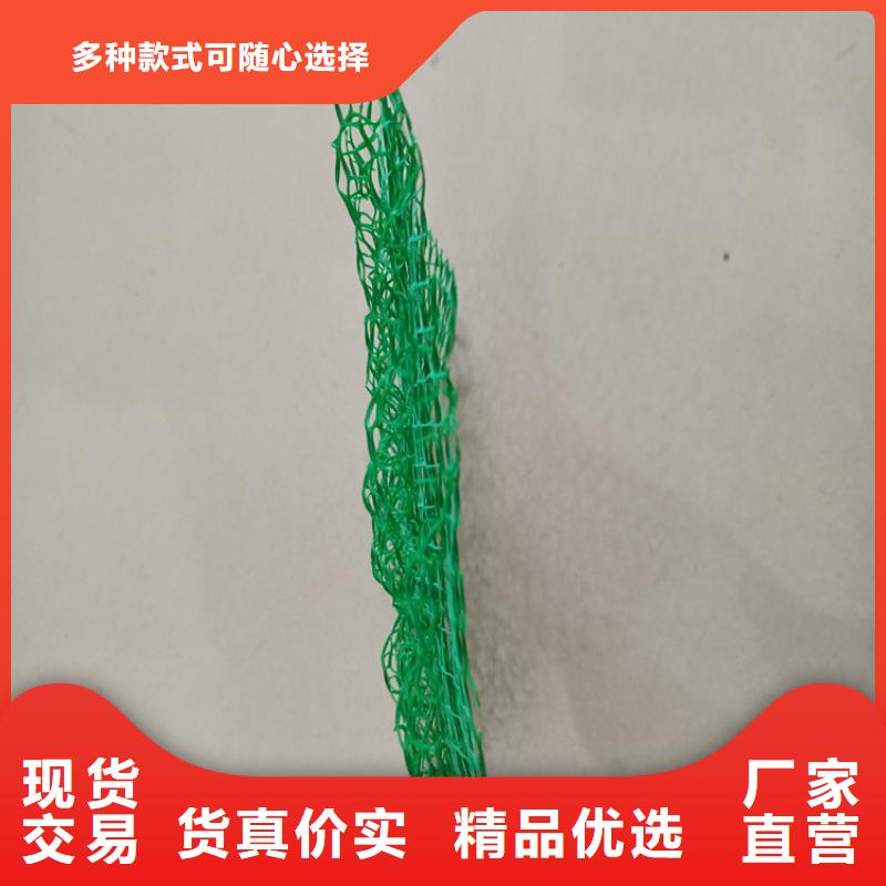 三维植被网玻纤格栅厂家直销省心省钱