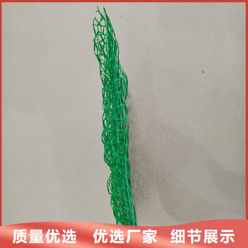三维植被网土工格栅品牌专营