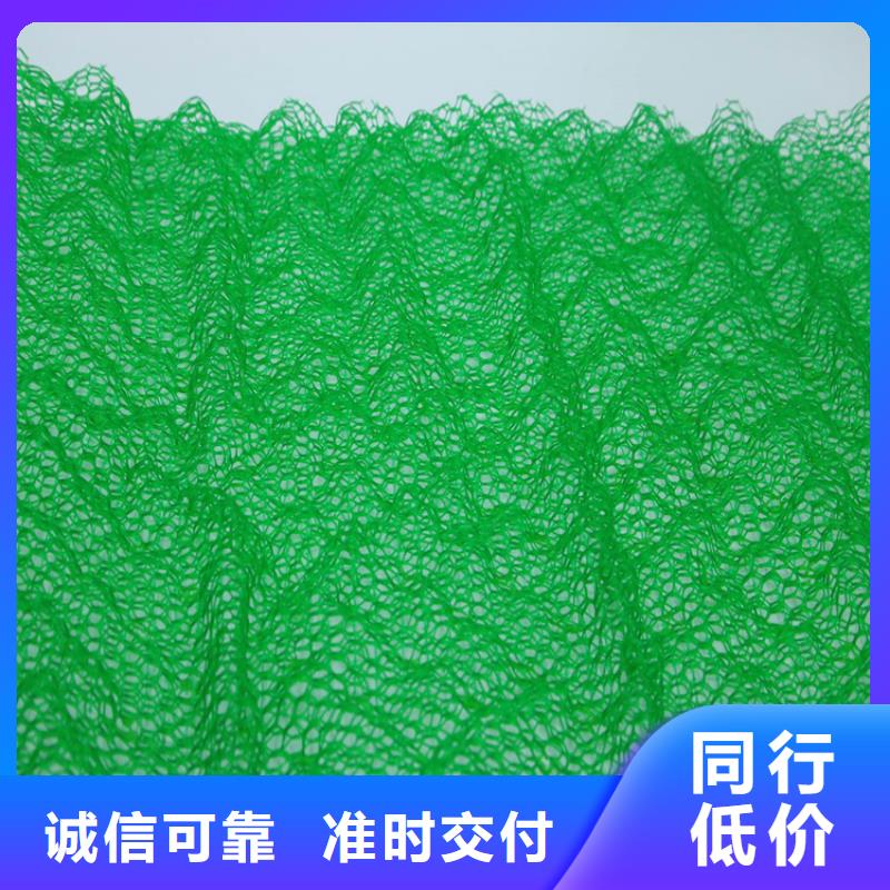 三维植被网玻纤格栅厂家直销省心省钱