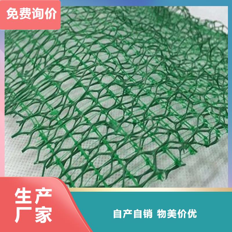 三维植被网玻纤格栅厂家直销省心省钱