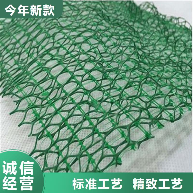 三维植被网土工格栅精选货源