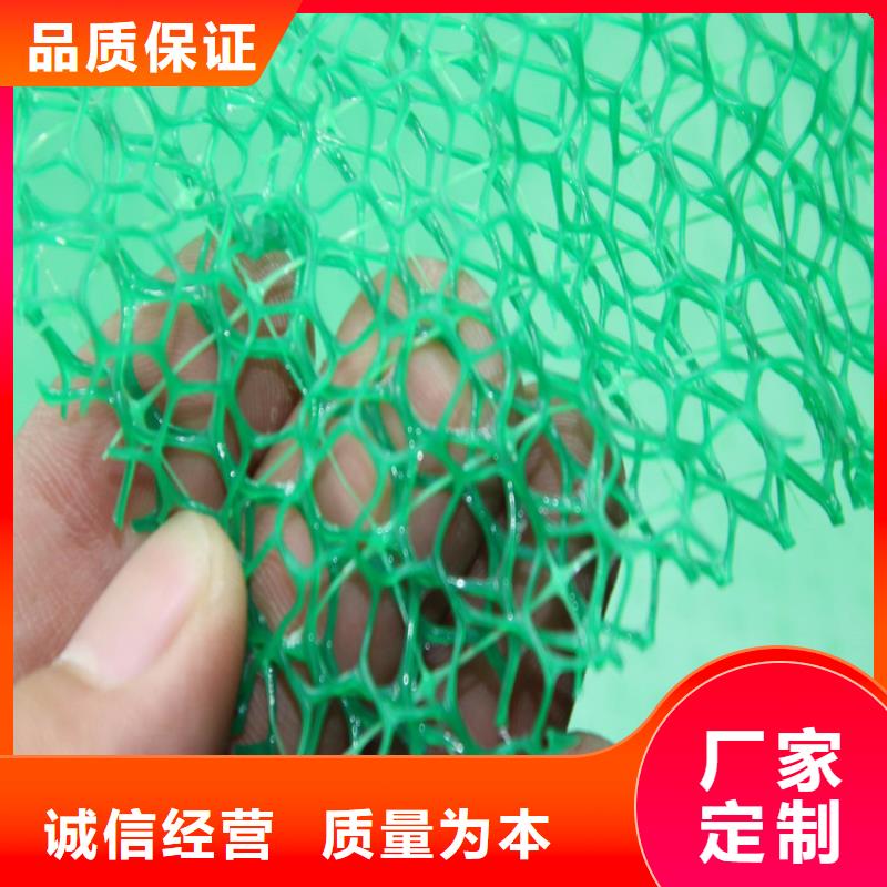三维植被网玻纤格栅厂家直销省心省钱