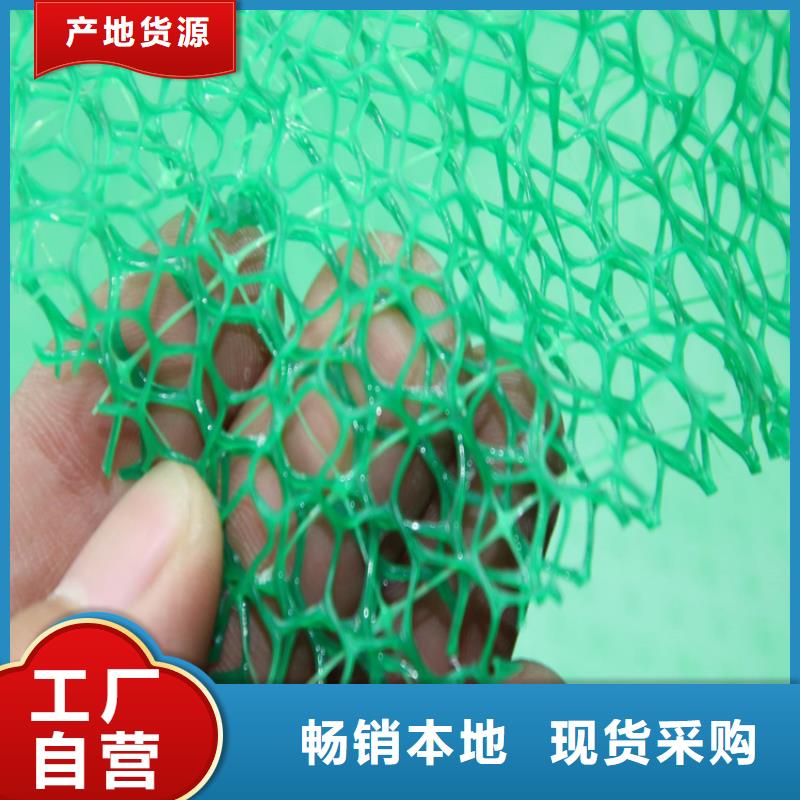 三维植被网土工格栅精选货源