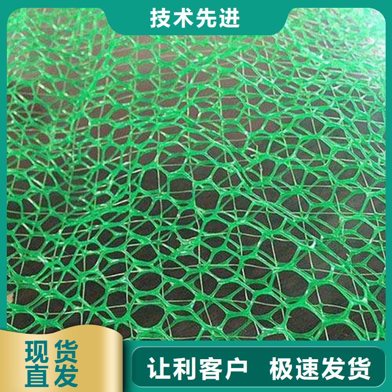 三维植被网玻纤格栅厂家直销省心省钱