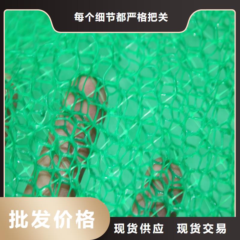 三维植被网玻纤格栅厂家直销省心省钱