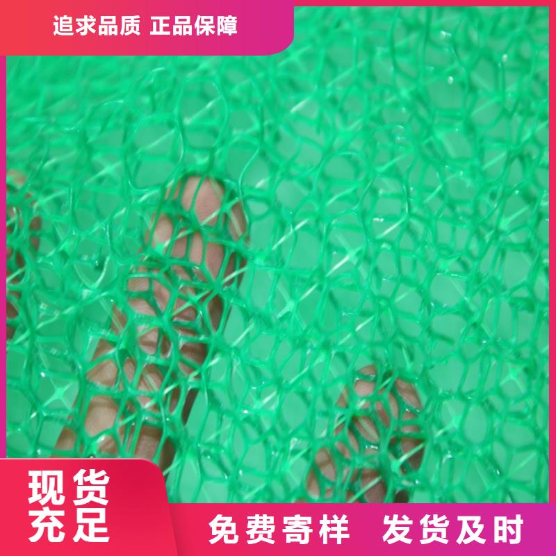 三维植被网土工格栅精选货源