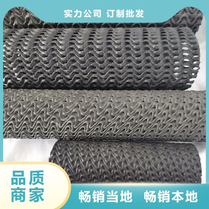 硬式透水管【三维植被网】性能稳定