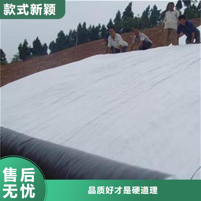 膨润土防水毯_土工格栅老品牌厂家