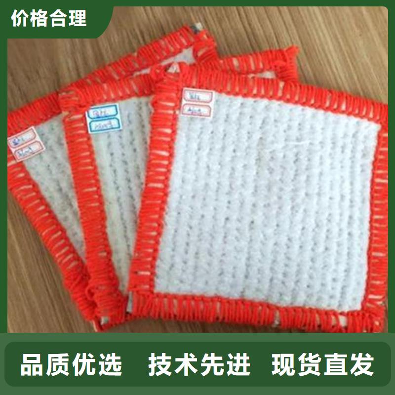 膨润土防水毯_土工格栅老品牌厂家