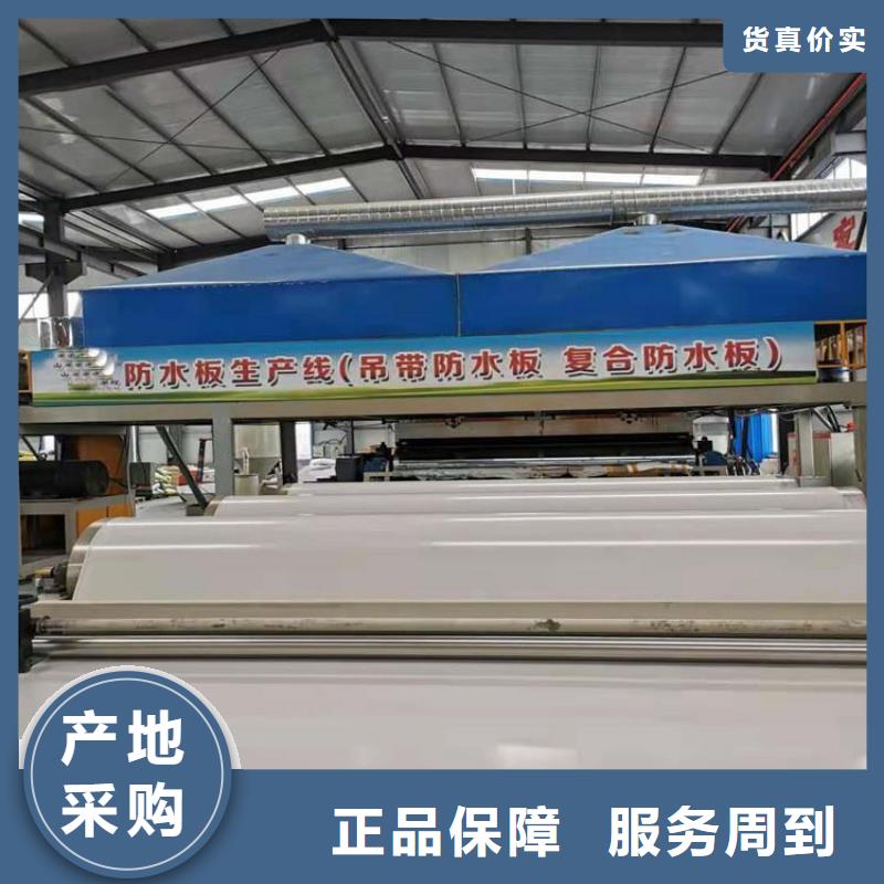 防水板膨润土防水毯专业设计