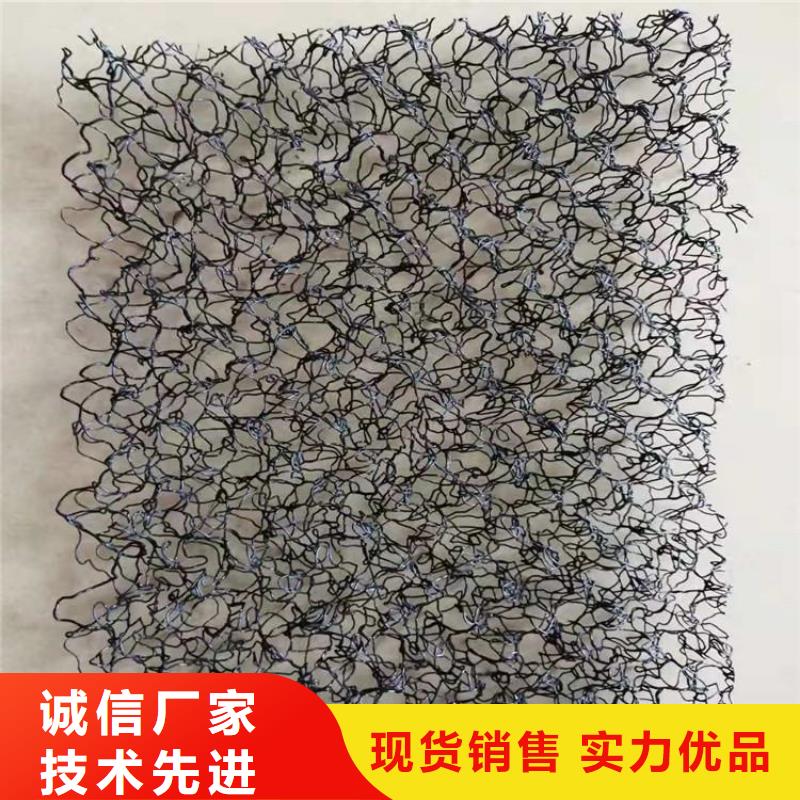 水土保护毯土工格栅厂家直营