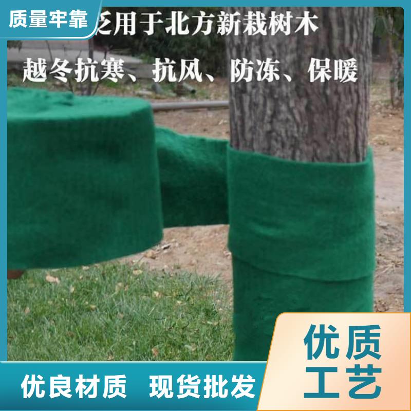 裹树布【钢塑土工格栅】型号全价格低