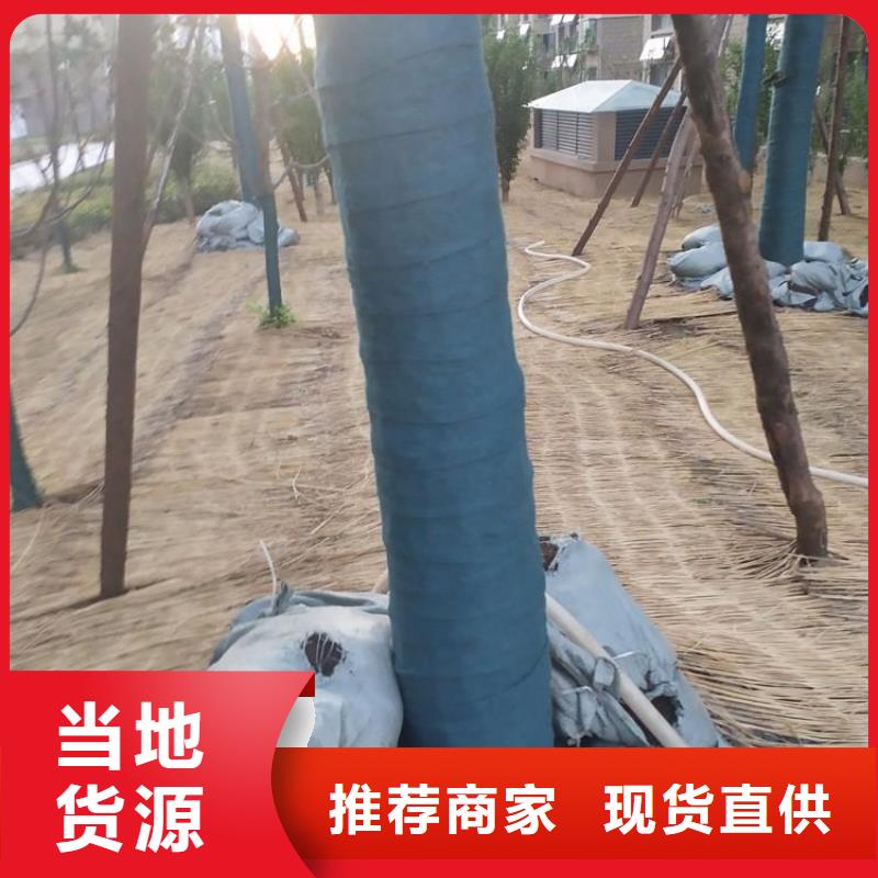 裹树布_【塑料土工格栅】厂家案例