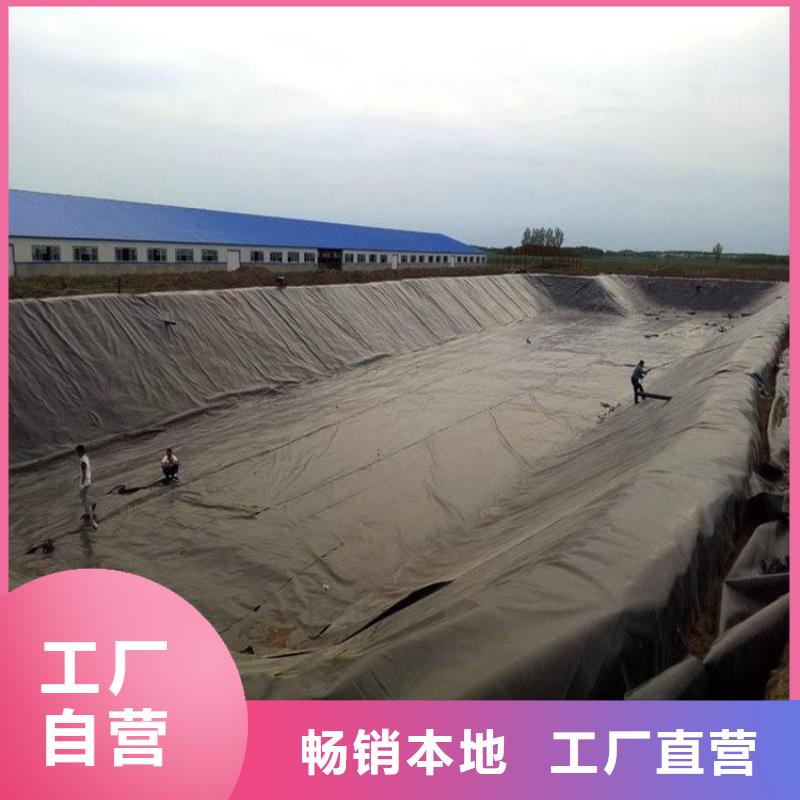 【土工膜】土工网垫厂家