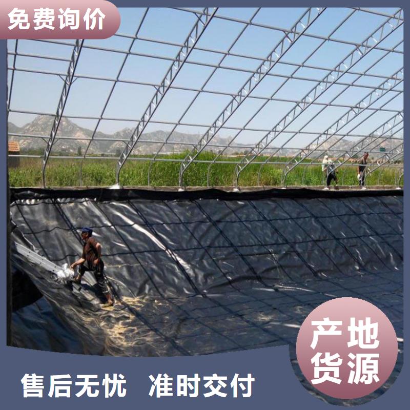 土工膜讲信誉保质量